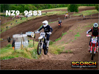 IntersGreen-011