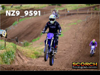 IntersGreen-019