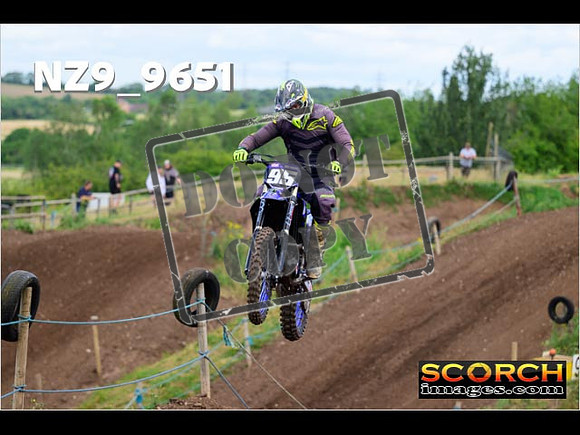 IntersGreen-076