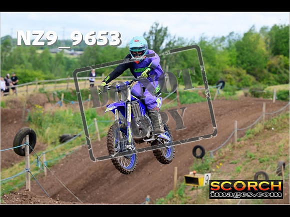 IntersGreen-078