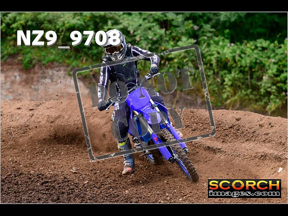 IntersGreen-129