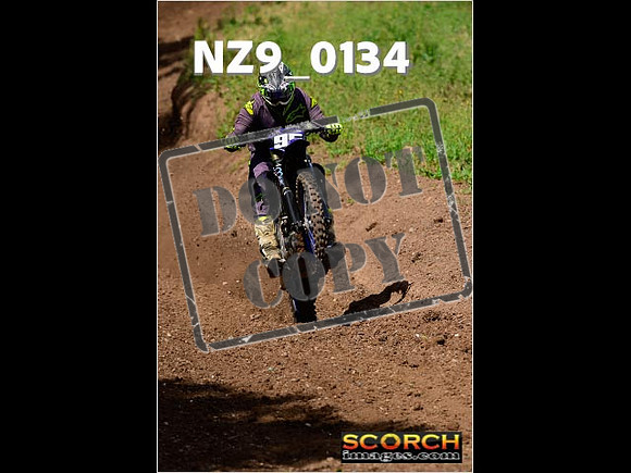 IntersGreen-175