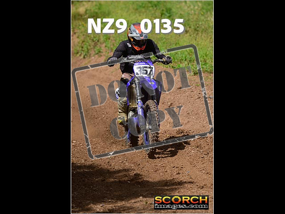 IntersGreen-176