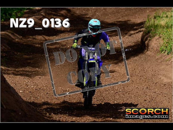 IntersGreen-177