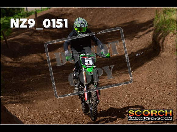 IntersGreen-192