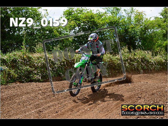 IntersGreen-200