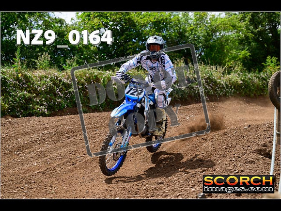 IntersGreen-205