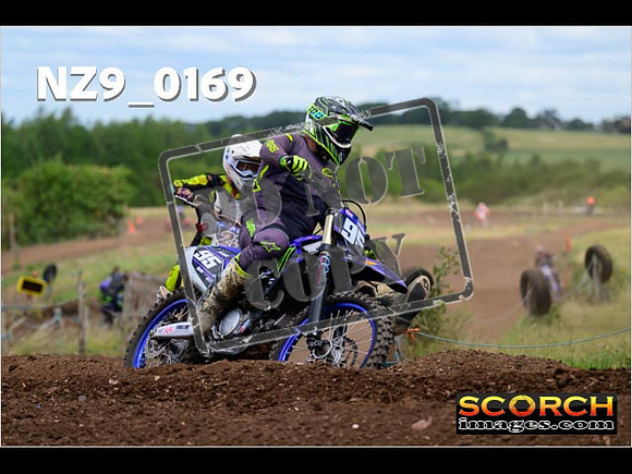 IntersGreen-210