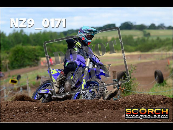 IntersGreen-212