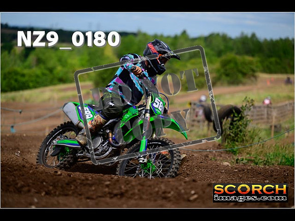 IntersGreen-221