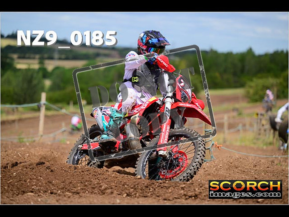 IntersGreen-226