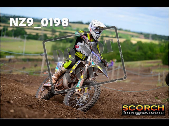 IntersGreen-239