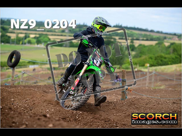 IntersGreen-244