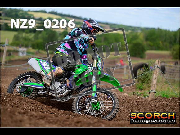 IntersGreen-246