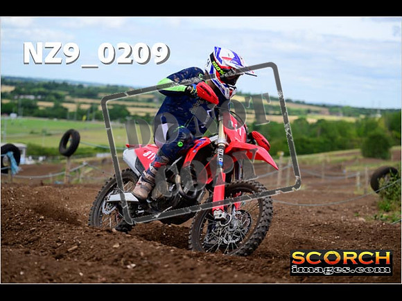 IntersGreen-249