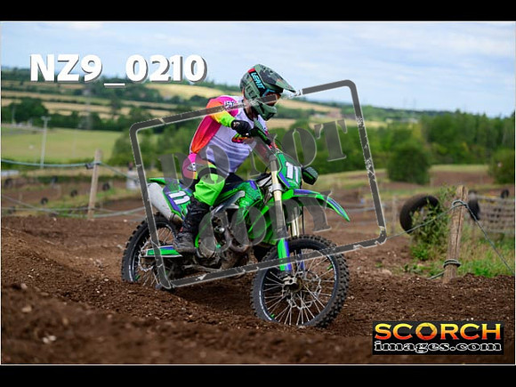 IntersGreen-250