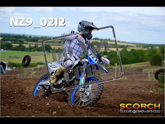 IntersGreen-252