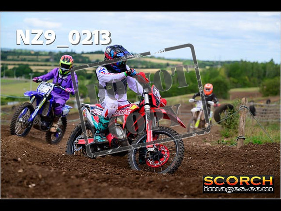 IntersGreen-253