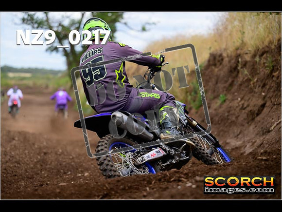 IntersGreen-257