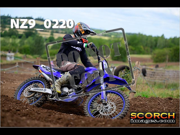 IntersGreen-260