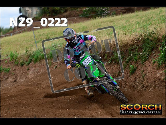 IntersGreen-261