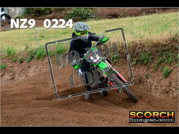 IntersGreen-263