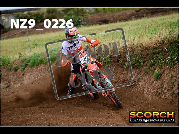 IntersGreen-265