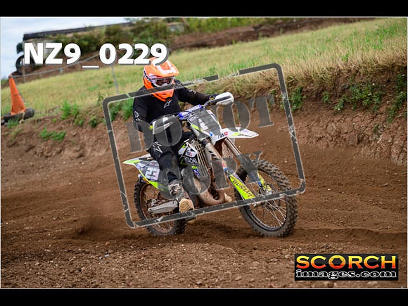 IntersGreen-268