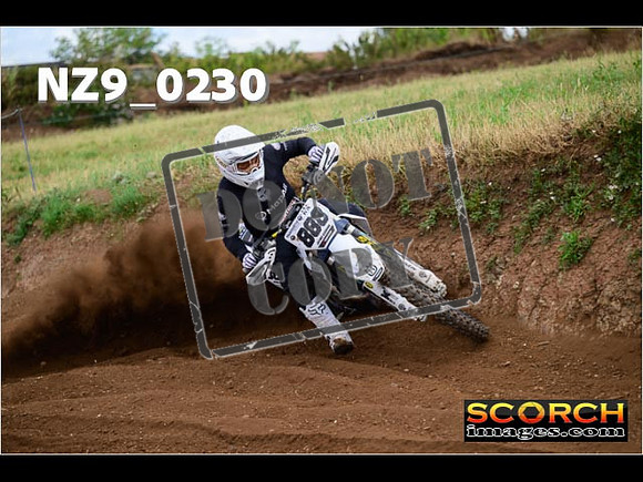 IntersGreen-269
