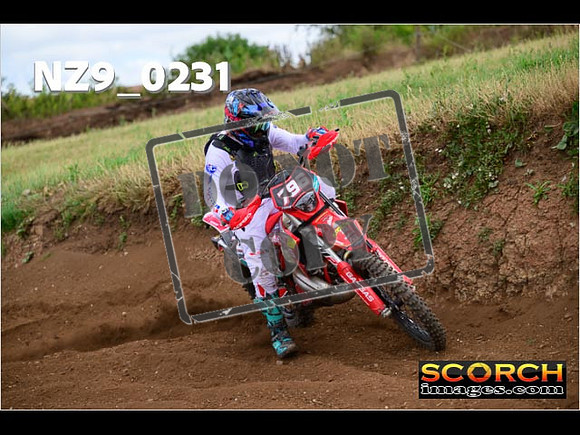 IntersGreen-270
