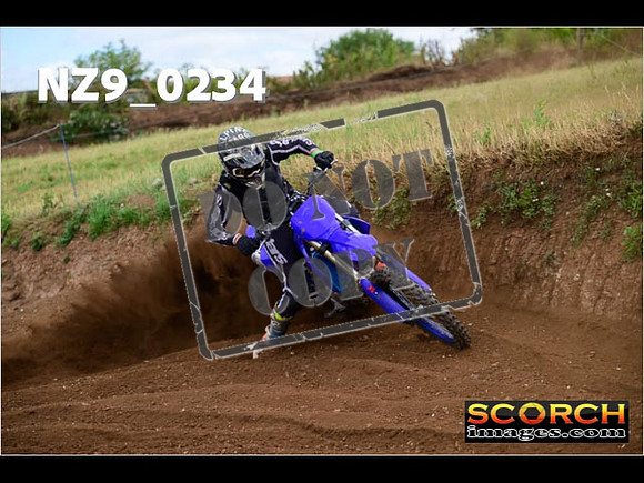 IntersGreen-273