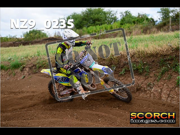 IntersGreen-274