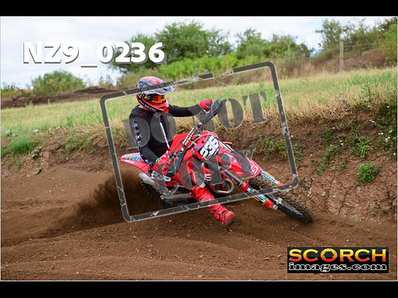 IntersGreen-275