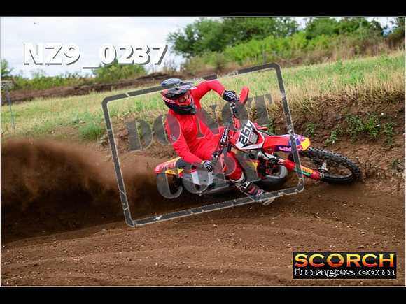 IntersGreen-276