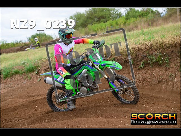 IntersGreen-278