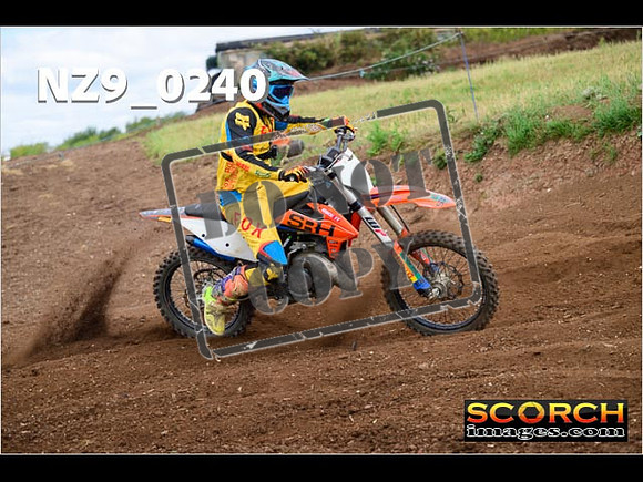 IntersGreen-279