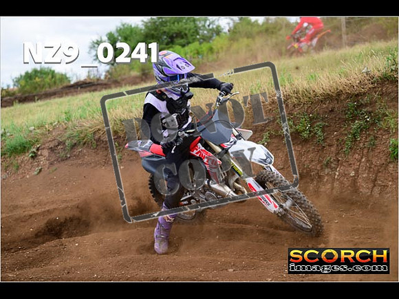 IntersGreen-280
