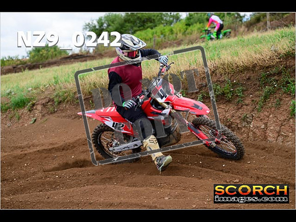 IntersGreen-281
