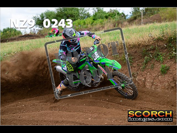 IntersGreen-282