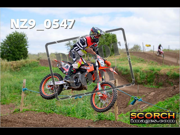 IntersGreen-285
