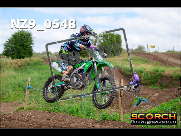 IntersGreen-286
