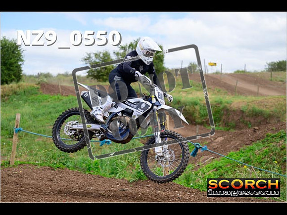 IntersGreen-288