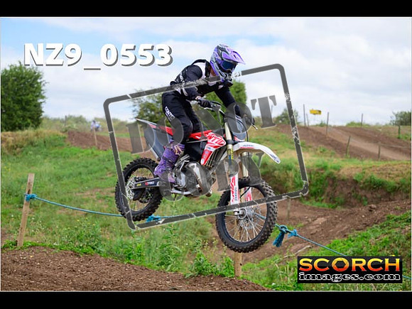 IntersGreen-291