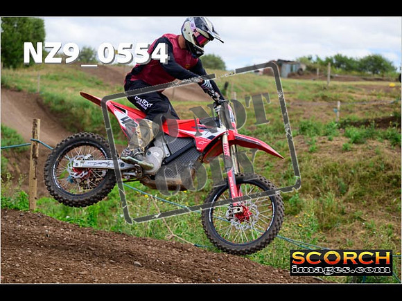 IntersGreen-292