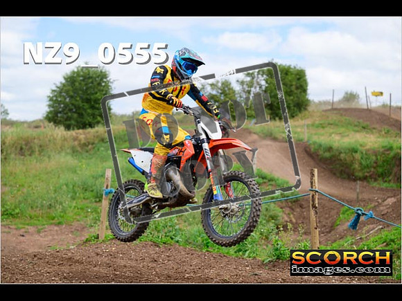 IntersGreen-293