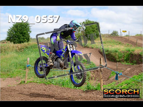 IntersGreen-295