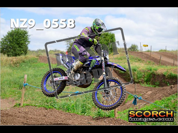 IntersGreen-296