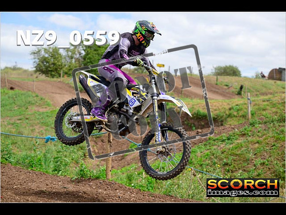 IntersGreen-297