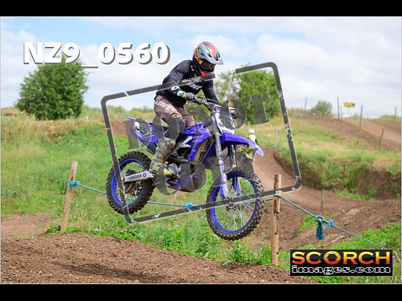 IntersGreen-298