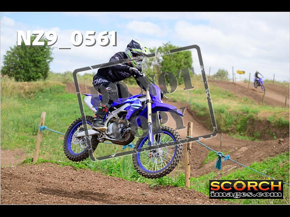IntersGreen-299